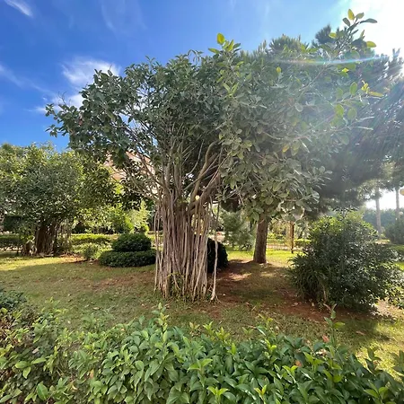 Vista Bella La Manga del Mar Menor