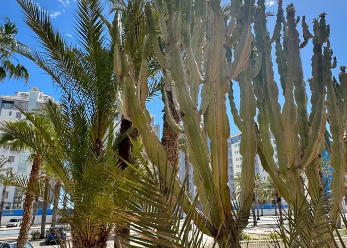 Vista Bella La Manga del Mar Menor